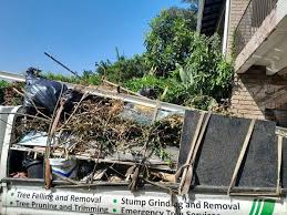 Best Shed Removal  in Oatfield, OR